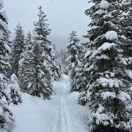 Gastein 3 Privatunterkunft