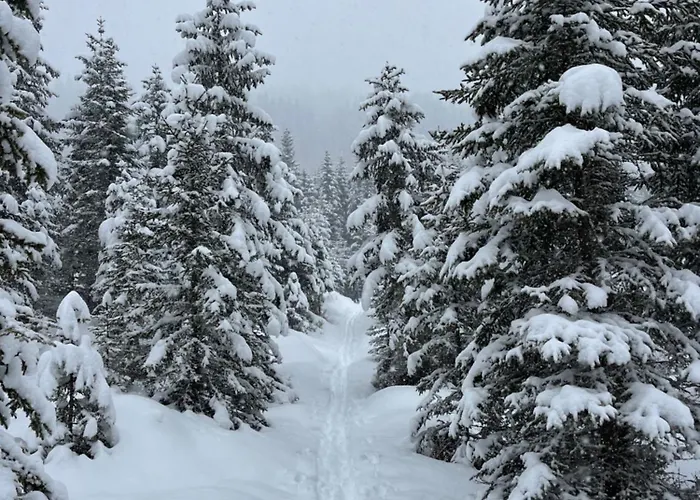 Gastein 3 Privatunterkunft